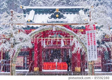 （神奈川縣）箱根神社 雪中初訪 85592160