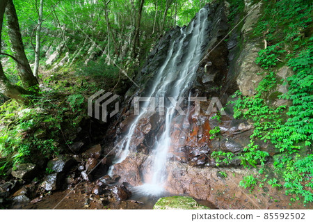 Midsummer scenery of Otaki near Nunotaki 3 Tsuyama City, Okayama Prefecture 85592502