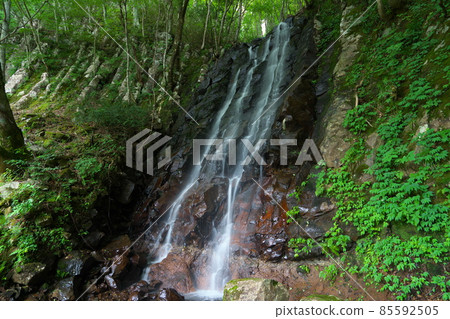 Midsummer scenery of Otaki near Nunotaki 1 Tsuyama City, Okayama Prefecture 85592505