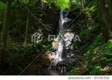 Midsummer scenery of Shirahama Falls near Nuno Falls 5 Tsuyama City, Okayama Prefecture Midsummer scenery of Shirahama Falls near Nuno Falls 5 Tsuyama City, Okayama Prefecture 85592508