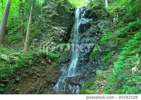 Midsummer scenery of Shirahama Falls near Nuno Falls 4 Tsuyama City, Okayama Prefecture 85592509