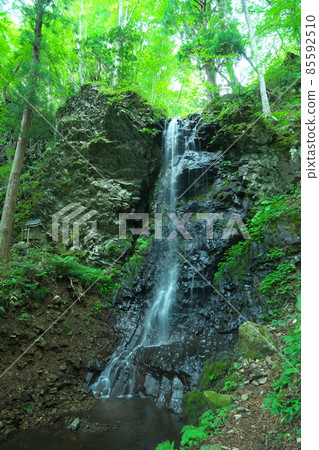Midsummer scenery of Shirahama Falls near Nuno Falls 3 Tsuyama City, Okayama Prefecture 85592510