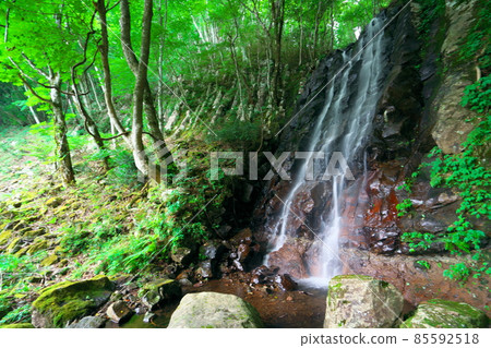 Midsummer scenery of Otaki near Nunotaki 8 Tsuyama City, Okayama Prefecture 85592518