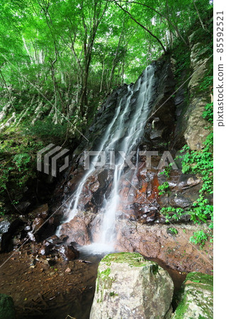 Midsummer scenery of Otaki near Nunotaki 5 Tsuyama City, Okayama Prefecture 85592521