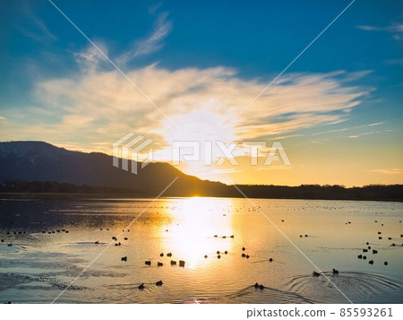 Niigata City Sagata Sunset 85593261