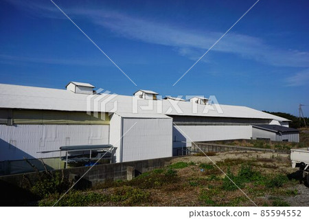 Poultry farm appearance 85594552