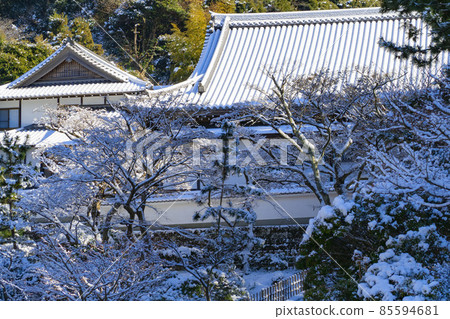 [Engakuji] Five mountains of Kamakura with snow 85594681