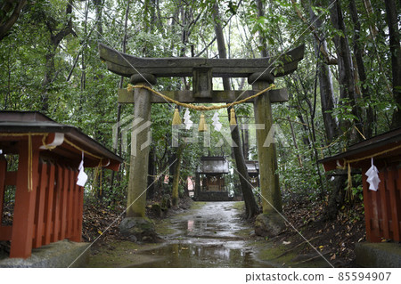 Rain Recommended Shrine Torii (Osada Hachiman Recommended Shrine) Nakatsu City, Oita Prefecture Rain Recommended Shrine Torii (Osada Hachiman Recommended Shrine) Nakatsu City, Oita Prefecture 85594907