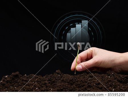 female hand plants a sprout in the ground and a holographic graphic on a black background. Business start-up concept, performance growth. Profitable new startup 85595200