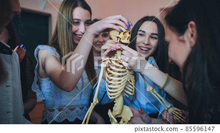 Cheerful students examine the human skeleton in the classroom. 85596147