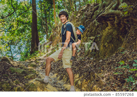 The father carries his son in a baby carrying is hiking in the forest. Tourist is carrying a child on his back in the nature of Vietnam The father carries his son in a baby carrying is hiking in the forest. Tourist is carrying a child on his back in the nature of Vietnam 85597268