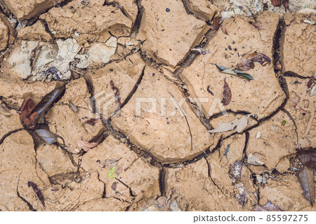 dry cracked earth. The desert. Background. It's hot, the global shortage of water on the planet dry cracked earth. The desert. Background. It's hot, the global shortage of water on the planet 85597275