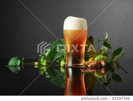 Beer, hops, and barley on a black background. Beer, hops, and barley on a black background. 85597346
