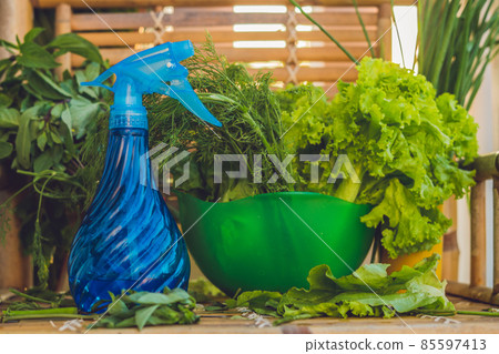 A variety of fresh organic herbs on an old wooden background 85597413