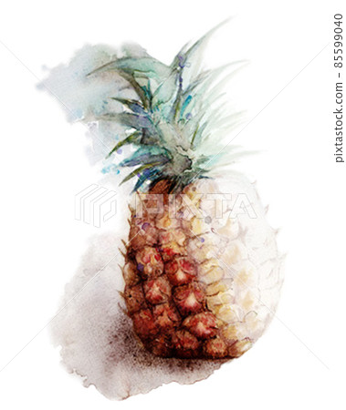 Fashionable pineapple 85599040