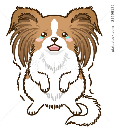 Frightened Papillon (Red White) Frightened Papillon (Red White) 85599122