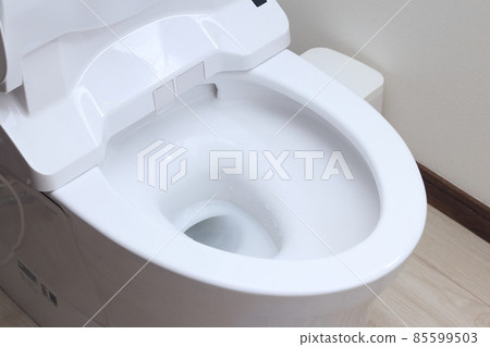 Western-style toilet with an open lid 85599503