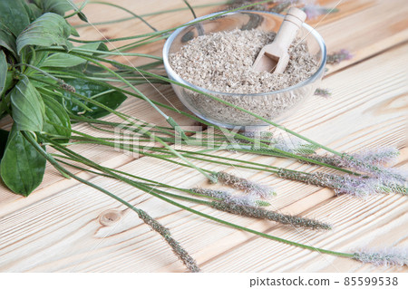 Psyllium leaves and stems with a transparent plate with the husk of plantain seeds on a wooden background. The concept of a source of plant fiber. 85599538