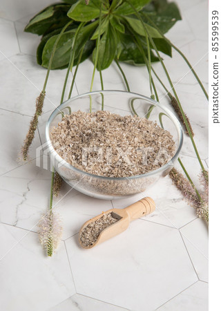 Superfood psyllium in a transparent plate and a wooden spoon on the background of plantain stems . The concept of useful food additives 85599539