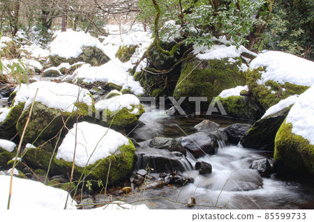 [Tottori] Mt. Mitoku mountain stream snow scene 85599733