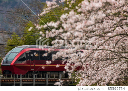 Sakura and Hinotori 85599734