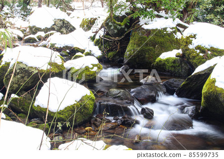 [Tottori] Mt. Mitoku mountain stream snow scene 85599735