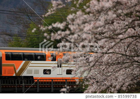 Sakura and Vista Car 85599738