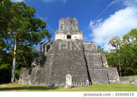 Guatemala Mayan Civilization Ruins Tikal No. 2 Temple 85600019