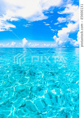 Blue and blue 85600131