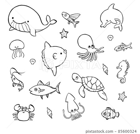 Cute hand drawn illustration set coloring book of sea creatures Cute hand drawn illustration set coloring book of sea creatures 85600324