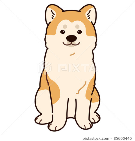 一隻簡單可愛的秋田犬坐在前面，有一條主線的插圖 85600440