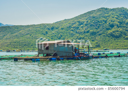 Fisherman's House on water Vietnam Fisherman's House on water Vietnam 85600794