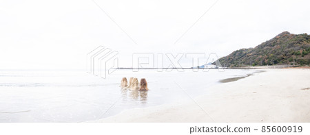Inasa Beach (Bentenjima) Inasa Beach (Bentenjima) 85600919