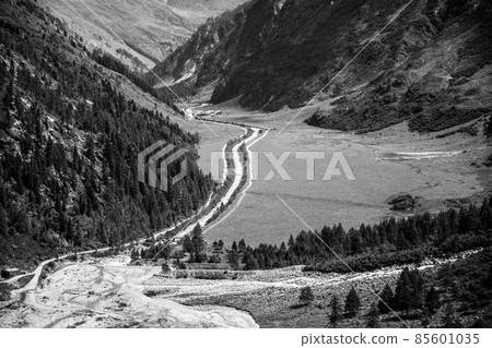 Mountain meadow in alpine valley, 85601035