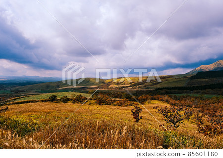 秋天的由布山高原 02 85601180