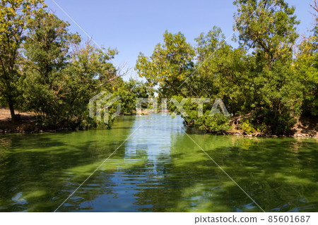 Calm lake in green park on summer Calm lake in green park on summer 85601687