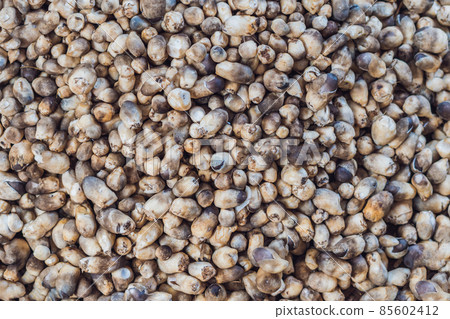 Mushrooms in the Vietnamese market. Asian cuisine concept Mushrooms in the Vietnamese market. Asian cuisine concept 85602412