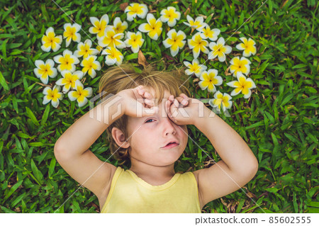beautiful little boy lies on meadow with frangipani 85602555