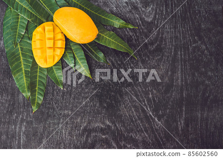 Smooth rocks and pond on a tropical forest background Smooth rocks and pond on a tropical forest background 85602560