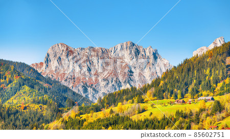 Astonishing autumn scene of meadow near Schiederweiher Astonishing autumn scene of meadow near Schiederweiher 85602751