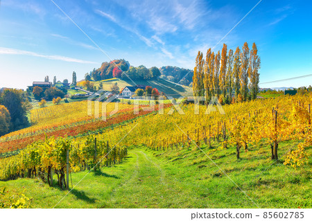 Breathtaking vineyards landscape in South Styria near Gamlitz. 85602785