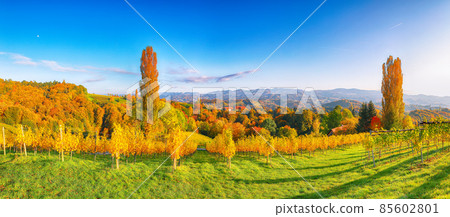 Breathtaking vineyards landscape in South Styria near Gamlitz. 85602801