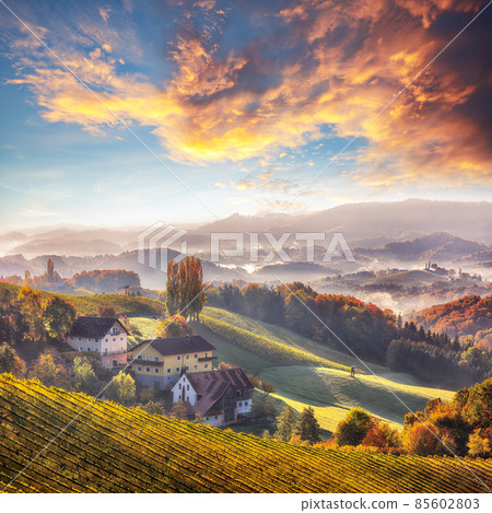 Astonishing vineyards landscape in South Styria near Gamlitz. 85602803