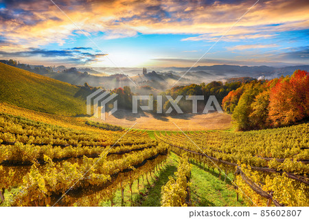 Astonishing vineyards landscape in South Styria near Gamlitz. 85602807