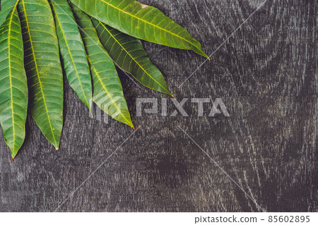 Mango leaves on an old wooden background 85602895