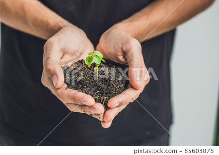 Hands holding young green plant, on black background. The concept of ecology, environmental protection Hands holding young green plant, on black background. The concept of ecology, environmental protection 85603078
