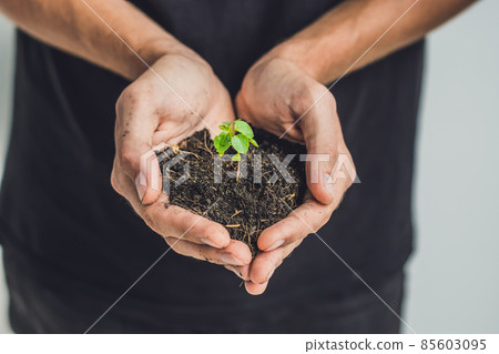 Hands holding young green plant, on black background. The concept of ecology, environmental protection Hands holding young green plant, on black background. The concept of ecology, environmental protection 85603095