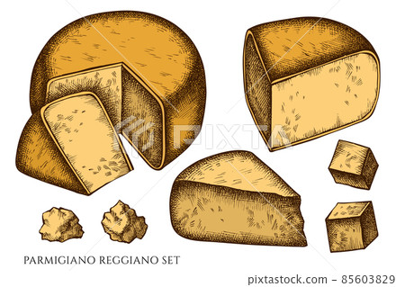 Cheese hand drawn vector illustrations collection. Colored parmigiano reggiano. Cheese hand drawn vector illustrations collection. Colored parmigiano reggiano. 85603829