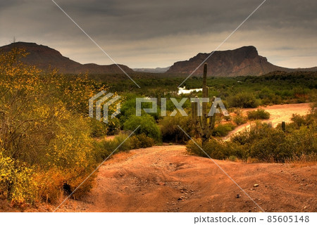 Desert Storm Approaching Desert Storm Approaching 85605148
