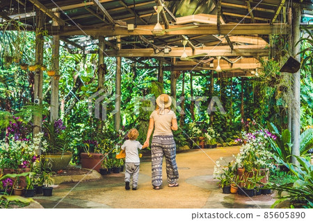 Mother and son are tourists on a tropical park in Malaysia Mother and son are tourists on a tropical park in Malaysia 85605890